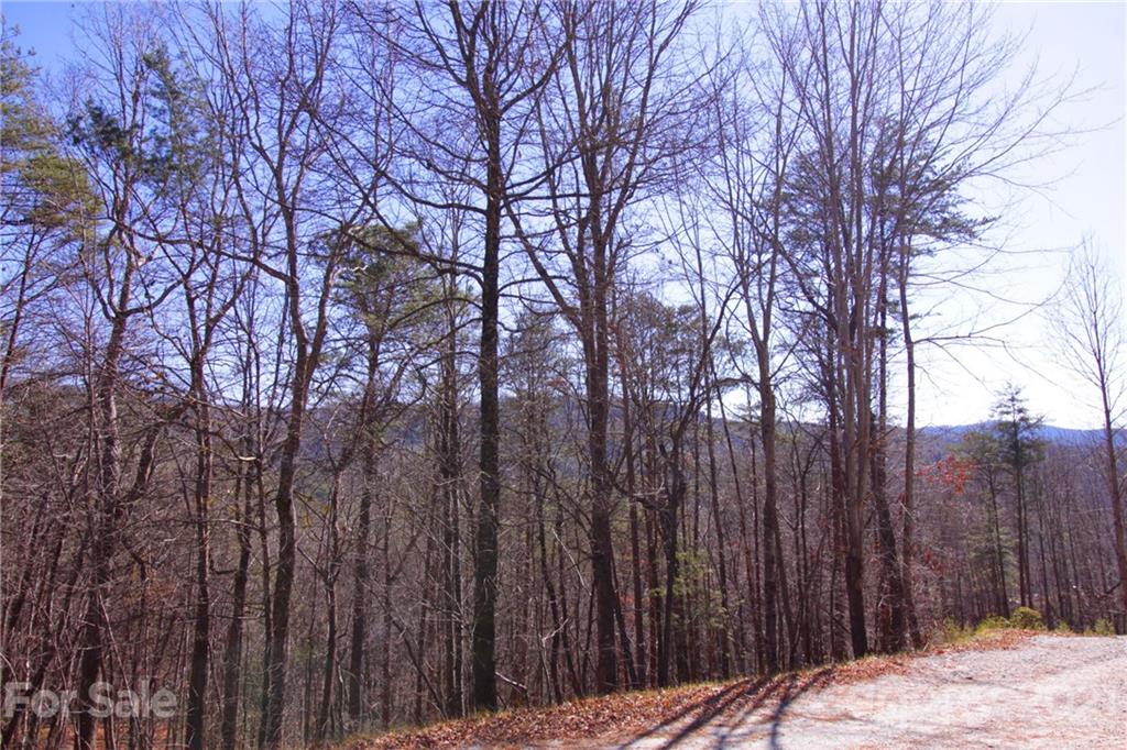 79 Round Mountain Road, Unit 79 Brevard, NC 28712 - Photo 10 of 17 Gallery Image 10