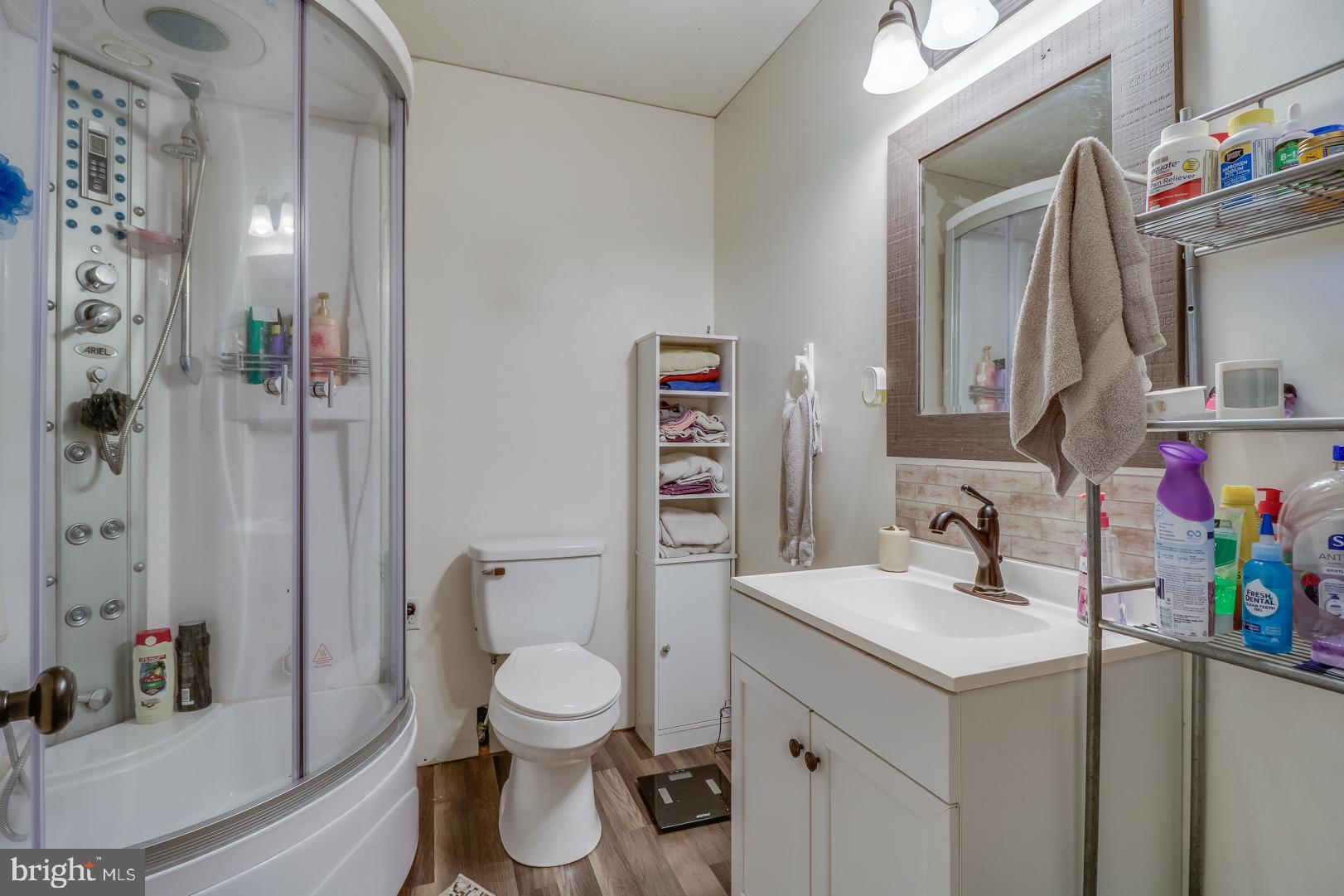 419 Ironmine Road Felton, DE 19943 - Photo 17 of 28 Owners Suite Bathroom