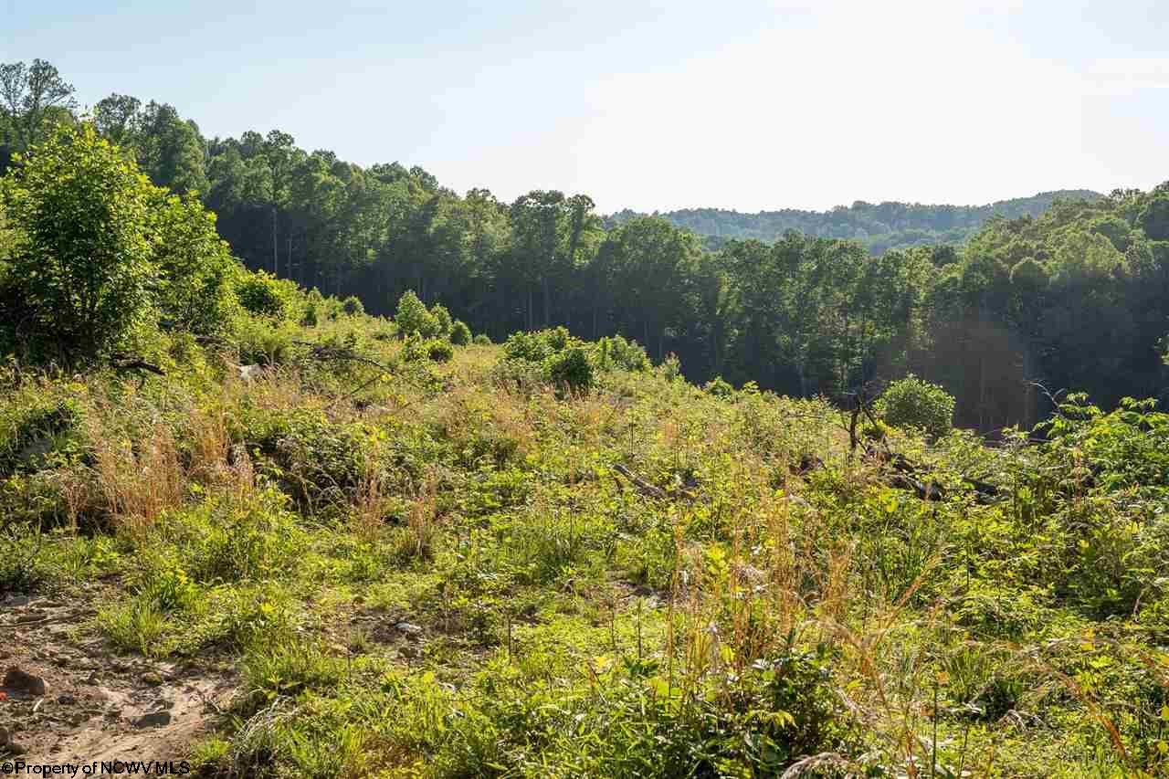 Tbd Hunter Ridge Road Rock Cave, WV 26234 - Photo 8 of 20 Gallery Image 8