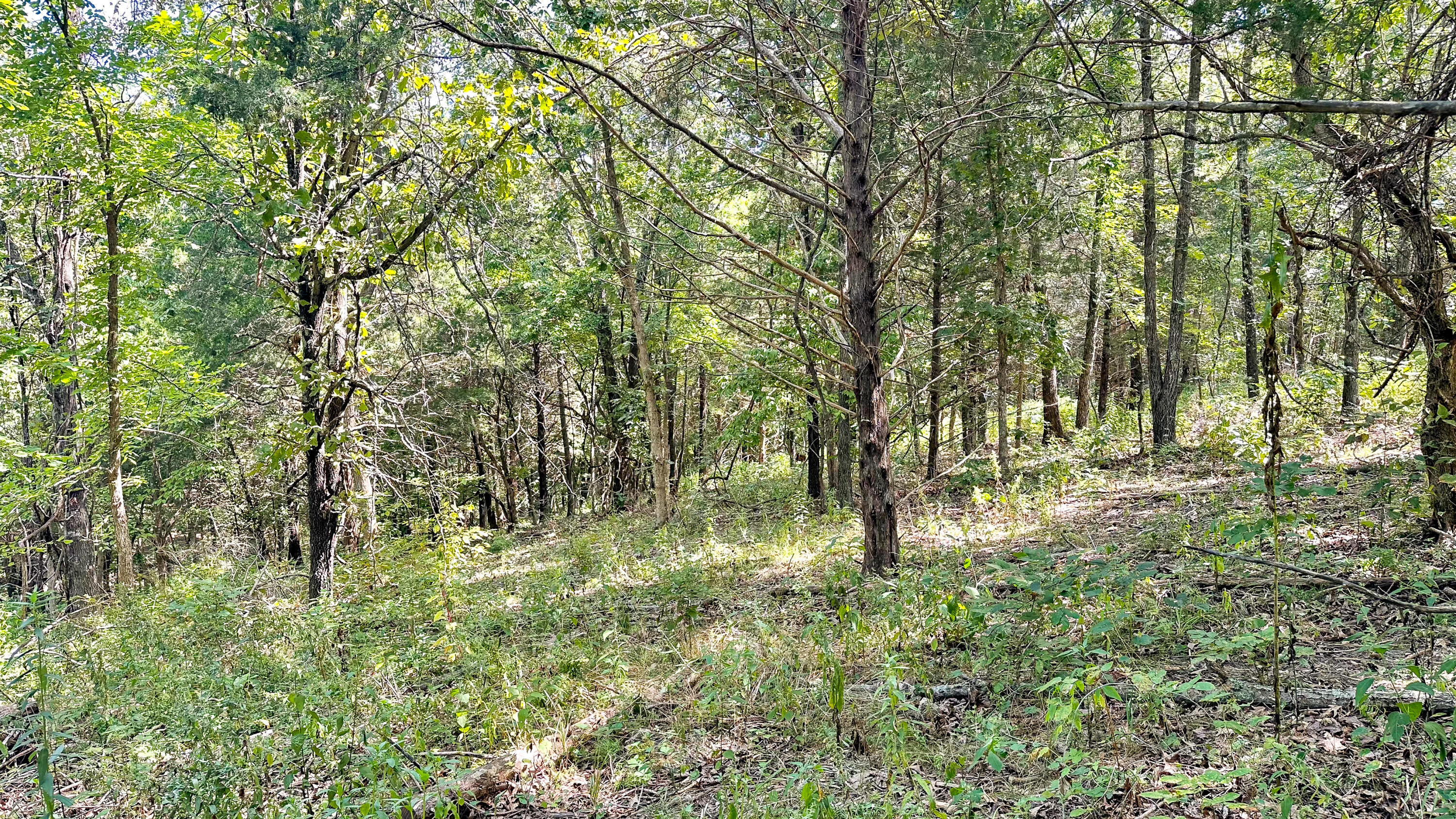 8380 St George Road Hartville, MO 65667 - Photo 26 of 43 St George Rd-26