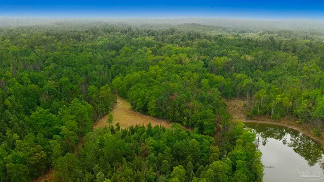 a view of a lake with a mountain in the background