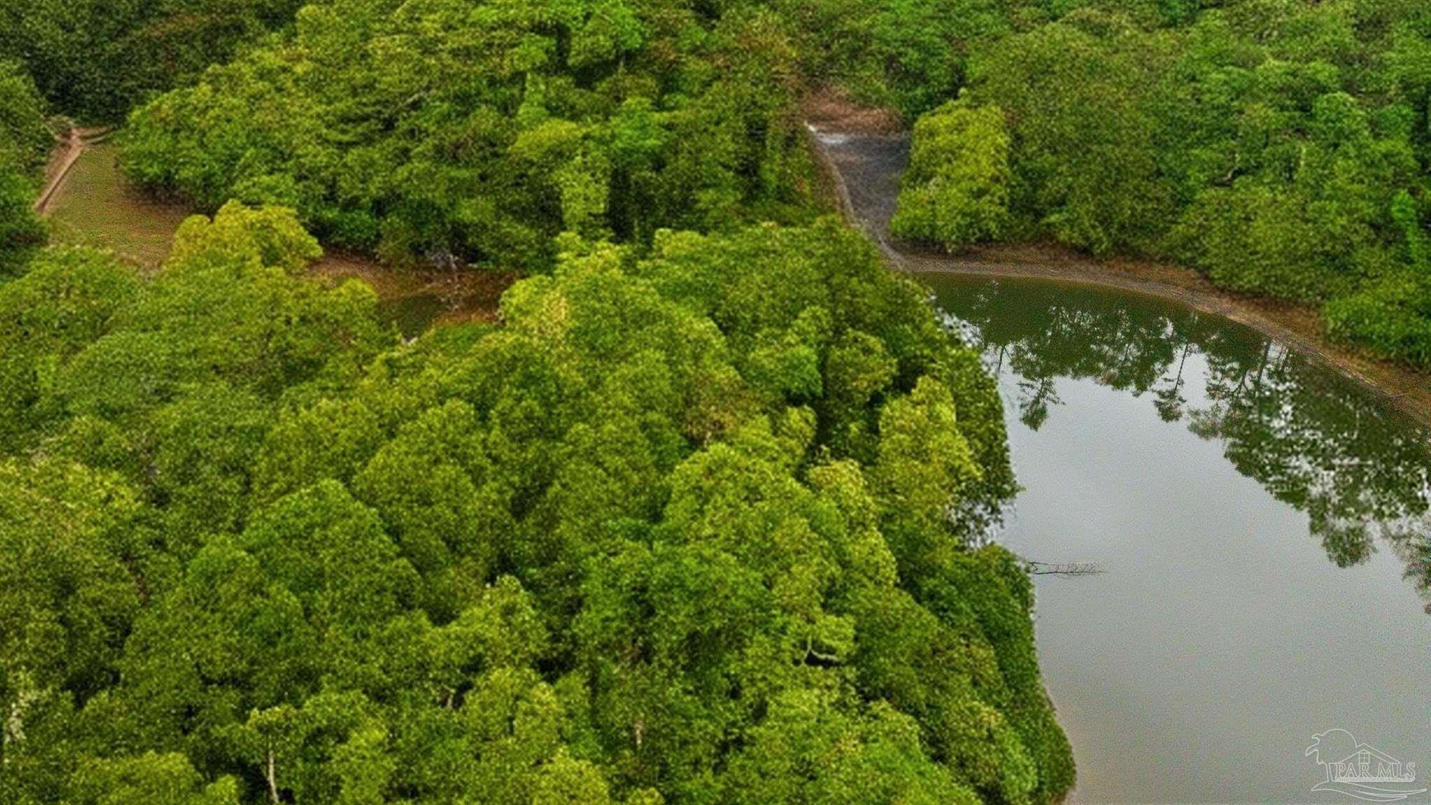 9023 County Road Millry, AL 36558 - Photo 29 of 72 a view of a garden