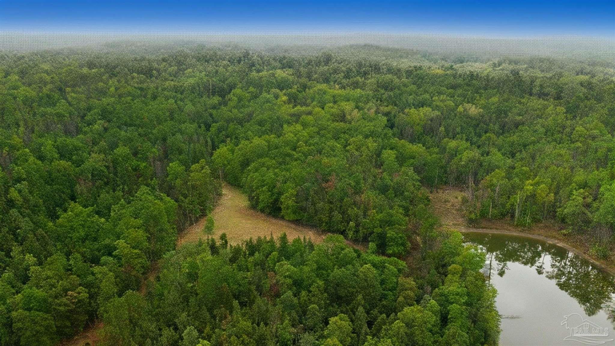 9023 County Road Millry, AL 36558 - Photo 30 of 72 a view of a lake in middle of forest