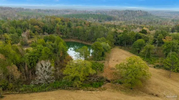 $1,600,000 | 9023 County Road, Millry, AL 36558