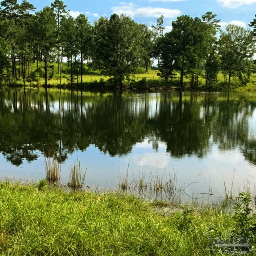 9023 County Road Millry, AL 36558 - Photo 32 of 69