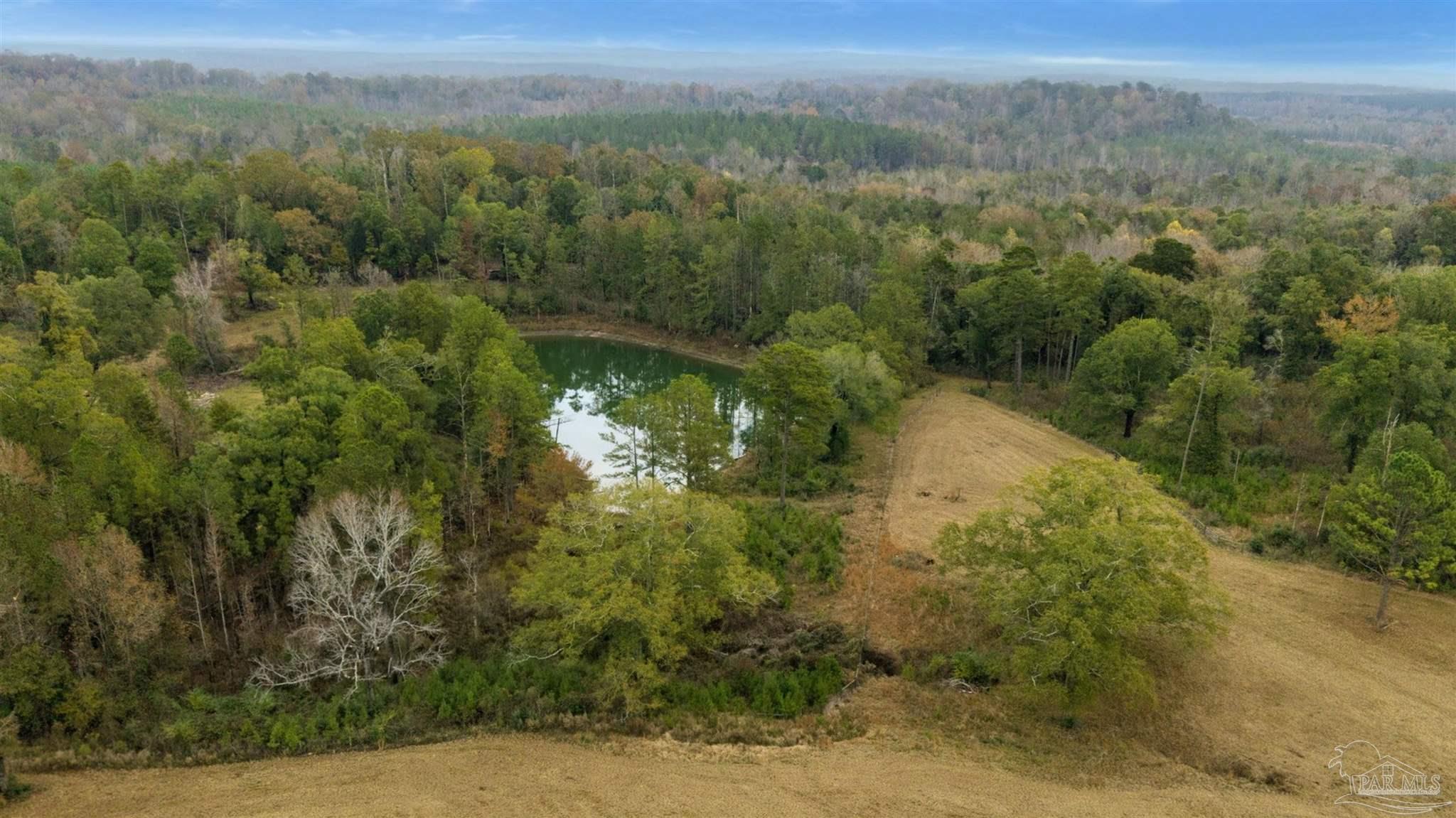 9023 County Road Millry, AL 36558 - Photo 34 of 72 a view of a lake with a mountain in the background