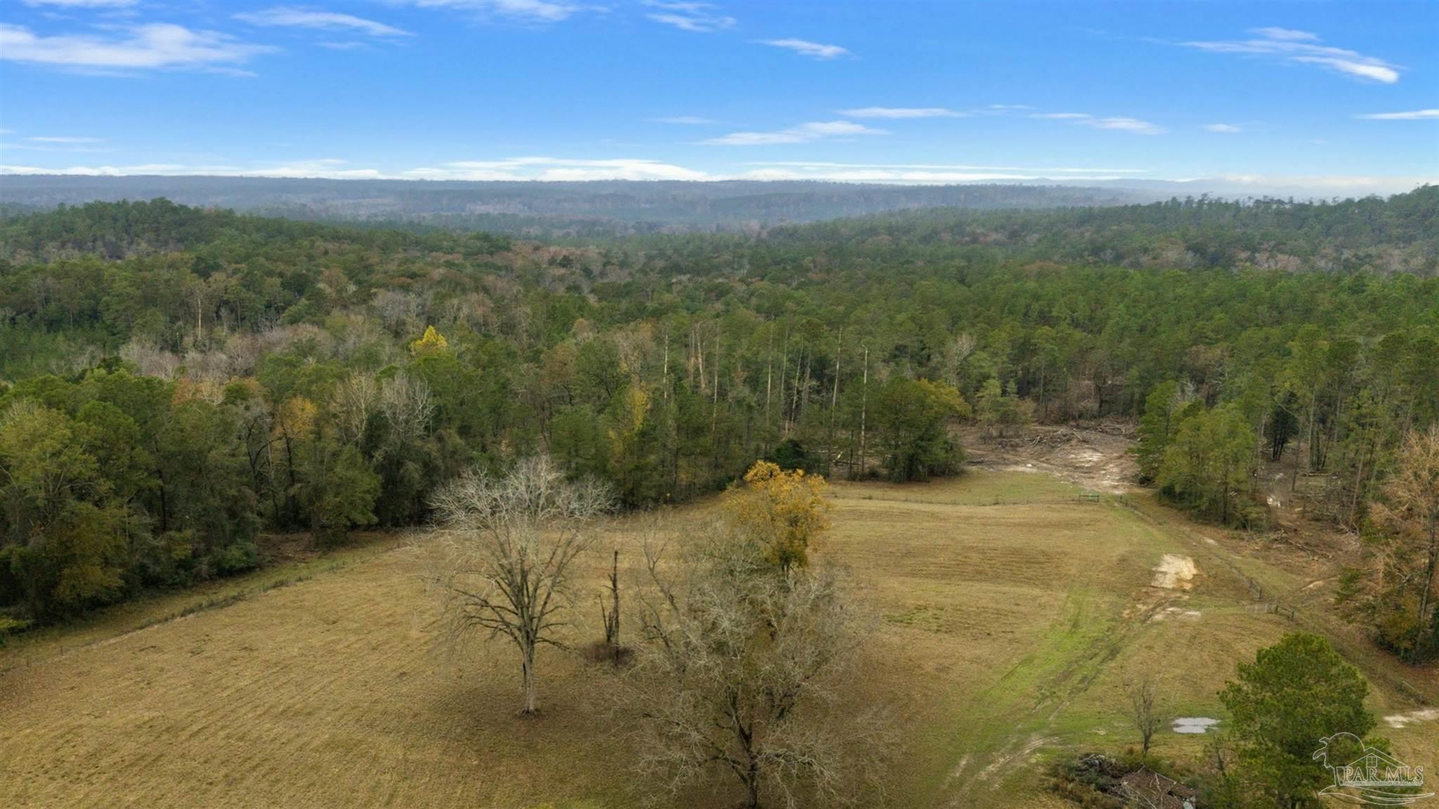 9023 County Road Millry, AL 36558 - Photo 45 of 72 a view of a yard with an outdoor space