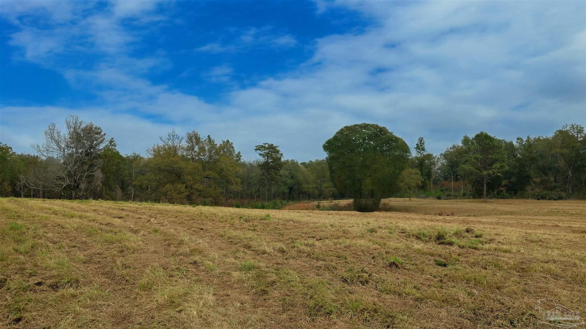 9023 County Road Millry, AL 36558 - Photo 55 of 69