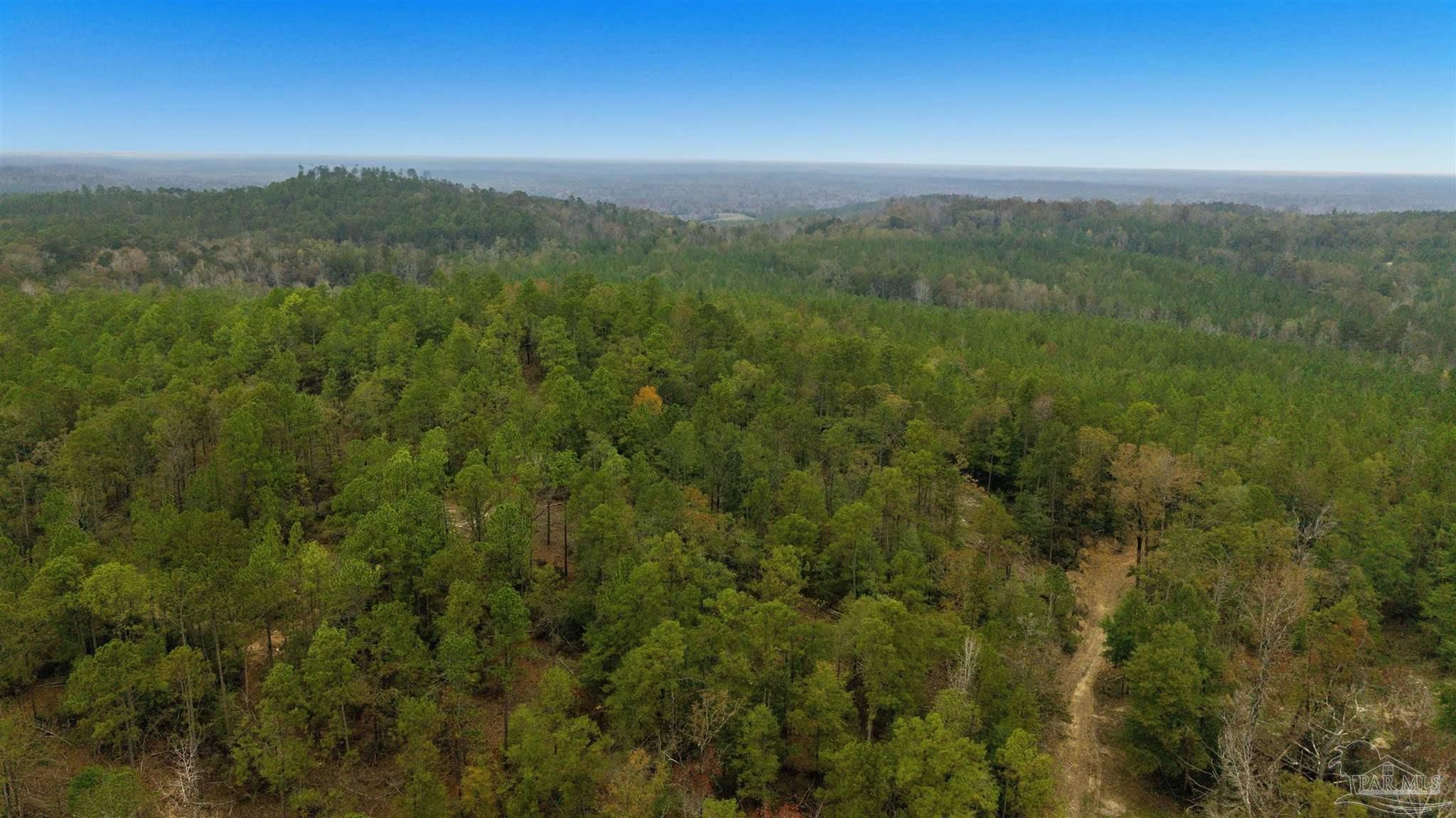 9023 County Road Millry, AL 36558 - Photo 56 of 69