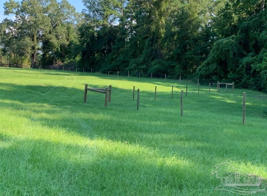 9023 County Road Millry, AL 36558 - Photo 57 of 69