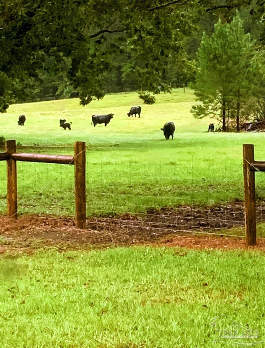 9023 County Road Millry, AL 36558 - Photo 58 of 69