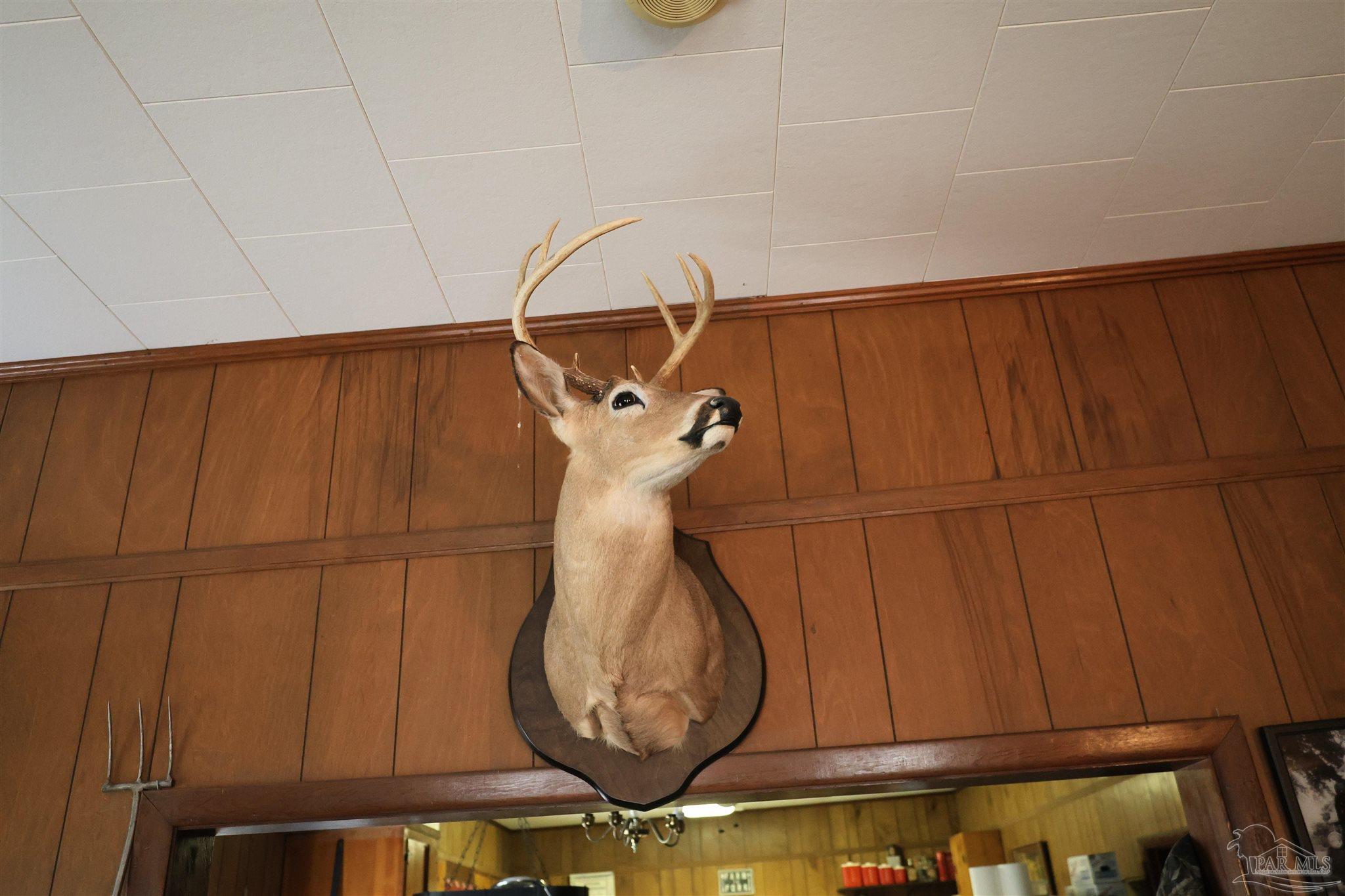 9023 County Road Millry, AL 36558 - Photo 6 of 69