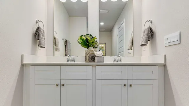 a bathroom with a sink a potted plant and a mirror