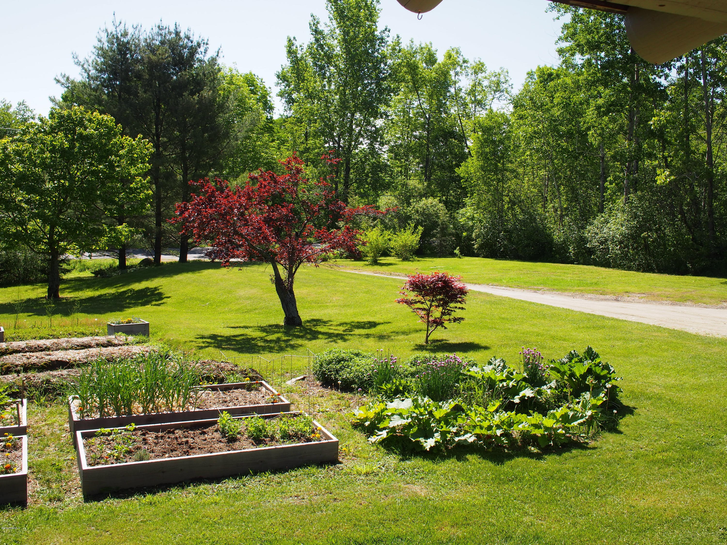 52 Central Shaft Road Florida, MA 01247 - Photo 3 of 31 a view of a big yard with plants and large trees