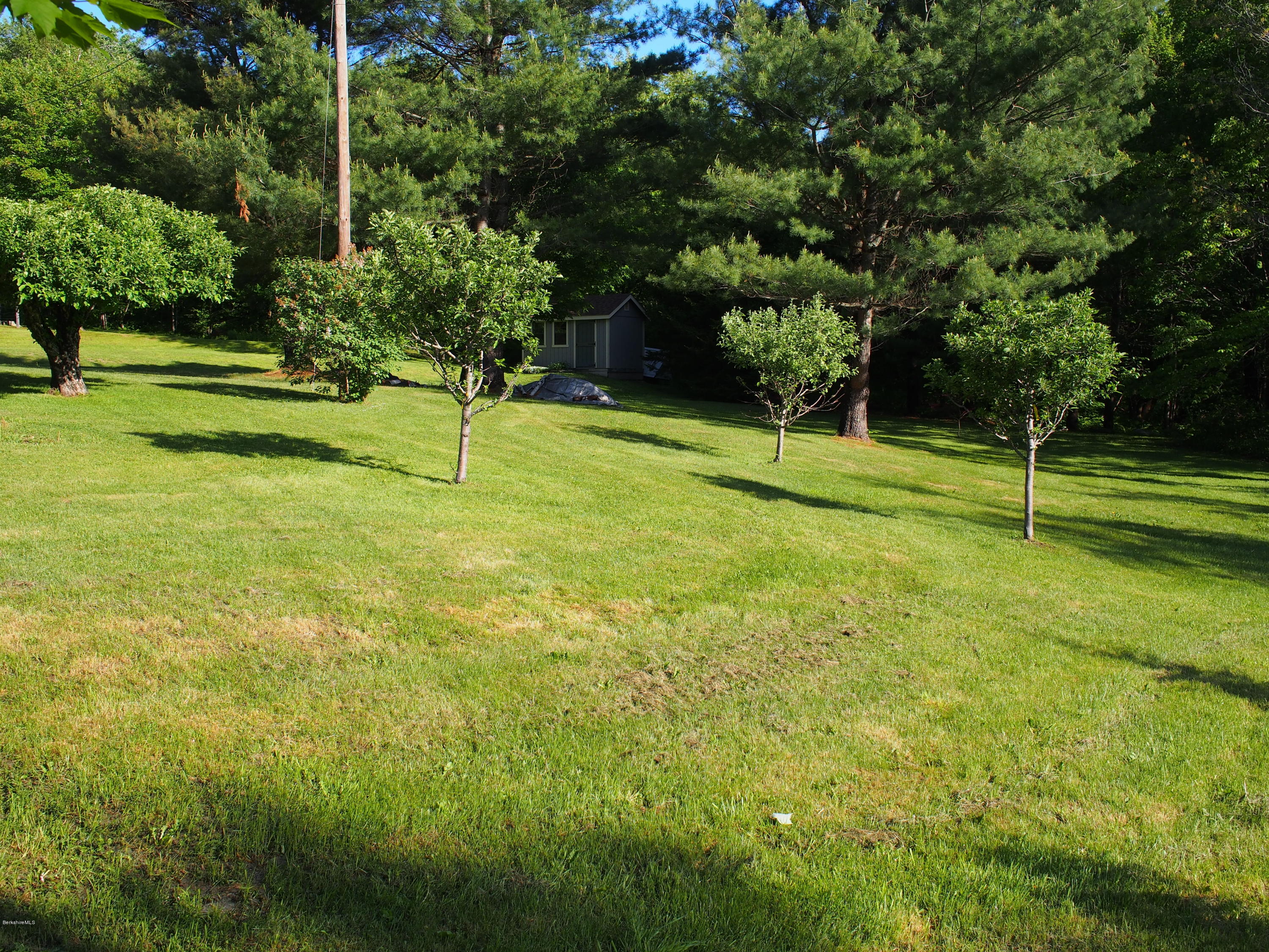 52 Central Shaft Road Florida, MA 01247 - Photo 5 of 31 a view of swimming pool with a yard