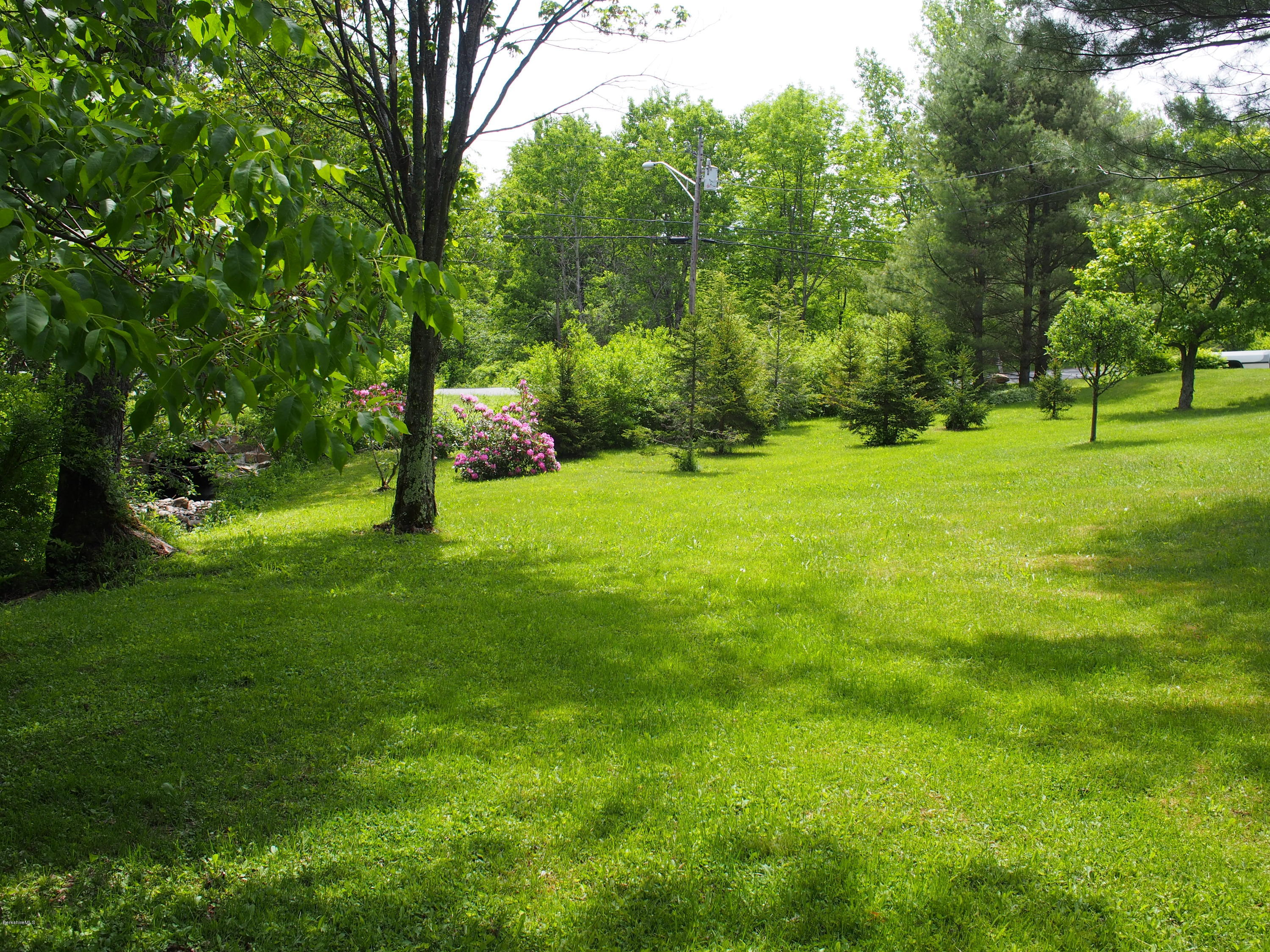 52 Central Shaft Road Florida, MA 01247 - Photo 8 of 31 a view of swimming pool with a tree