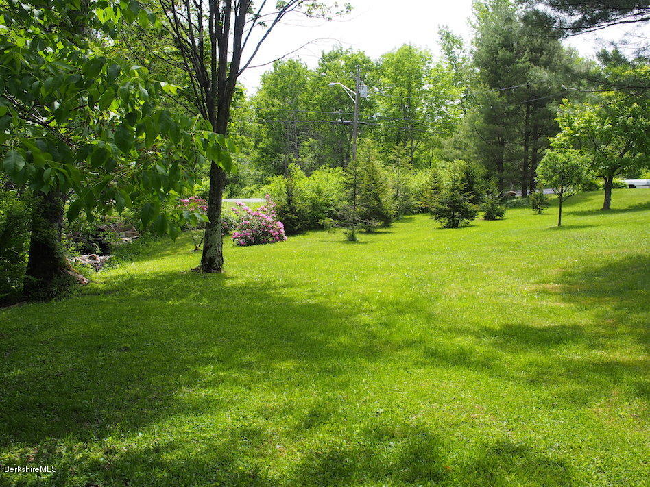 52 Central Shaft Road Florida, MA 01247 - Photo 10 of 31 a view of an outdoor space and a yard