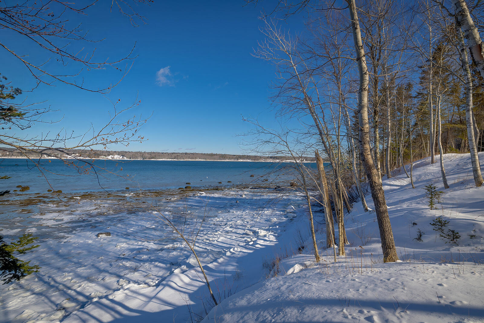 26 Hummingbird Lane Bar Harbor, ME 04609 - Photo 45 of 53 10-26 Hummingbird Lane-DTP