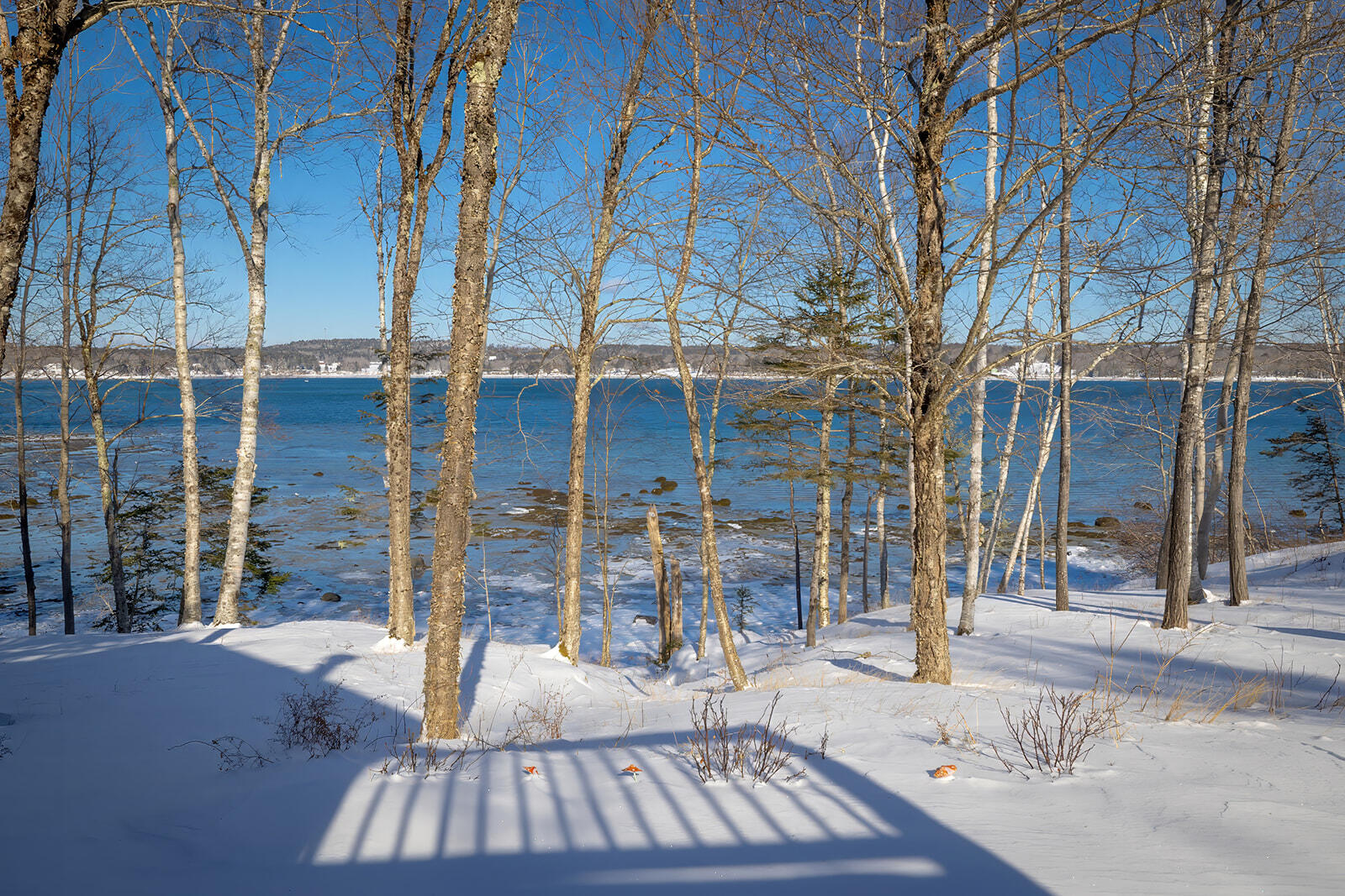 26 Hummingbird Lane Bar Harbor, ME 04609 - Photo 45 of 54 08-26 Hummingbird Lane-DTP