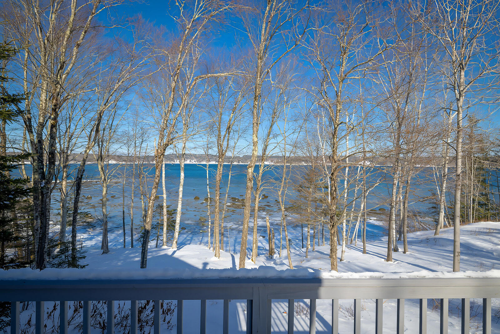 26 Hummingbird Lane Bar Harbor, ME 04609 - Photo 47 of 54 23-26 Hummingbird Lane-DTP