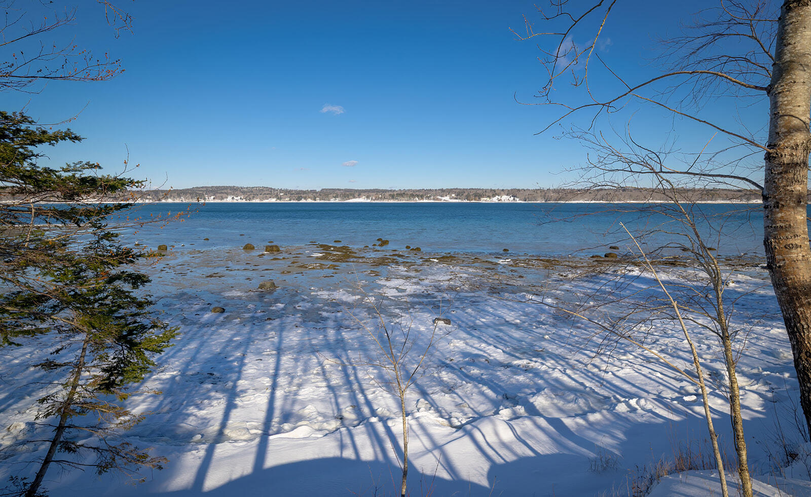 26 Hummingbird Lane Bar Harbor, ME 04609 - Photo 8 of 54 09-26 Hummingbird Lane-DTP