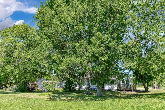a view of a backyard with large trees