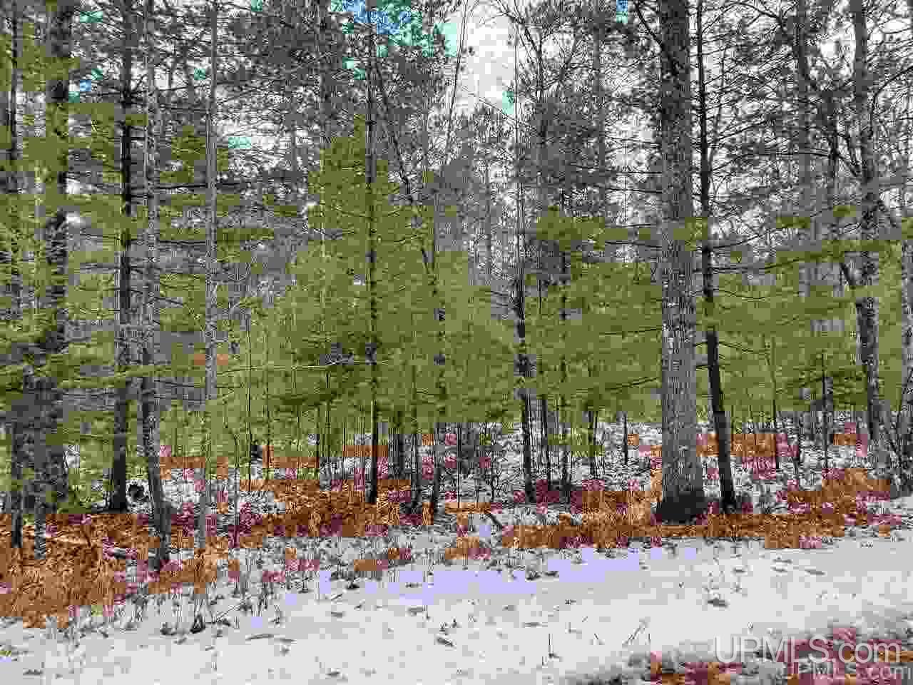 11.64 Acres Co Road Marquette, MI 49855 - Photo 5 of 8