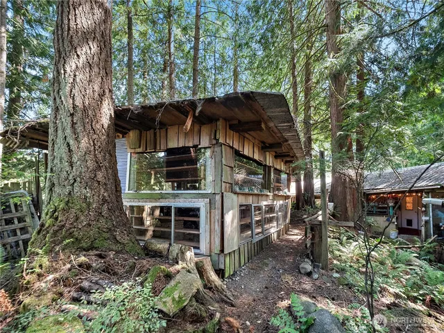 an aerial view of a house with a yard and large trees