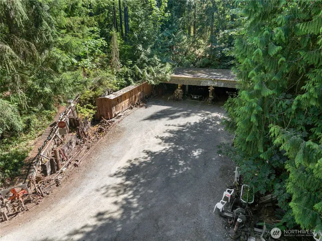 a view of a forest with a bench