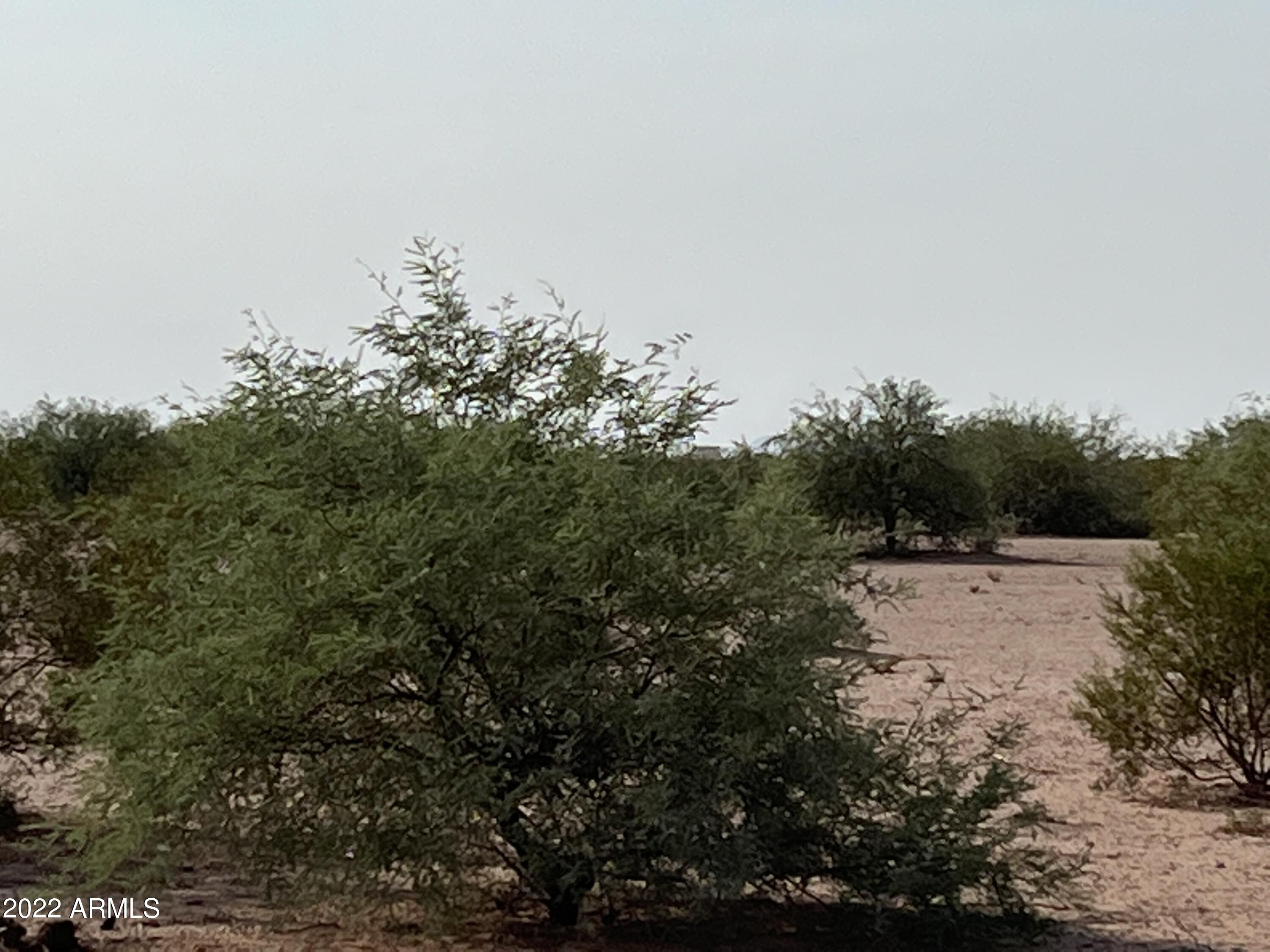 0 North Corrales Road Casa Grande, AZ 85193 - Photo 20 of 30 a view of a lake with trees in the background