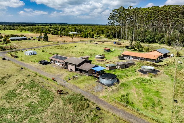 a view of a garden with lawn chairs