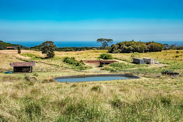 a view of a yard with an ocean