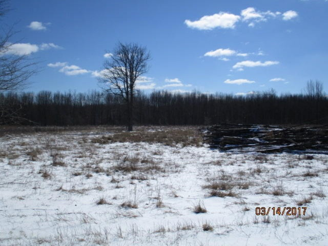 8200 East Erdman Road Merritt, MI 49667 - Photo 11 of 21 2017-03-14 02.24.17