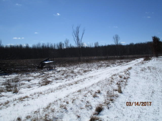 8200 East Erdman Road Merritt, MI 49667 - Photo 12 of 21 2017-03-14 02.24.23
