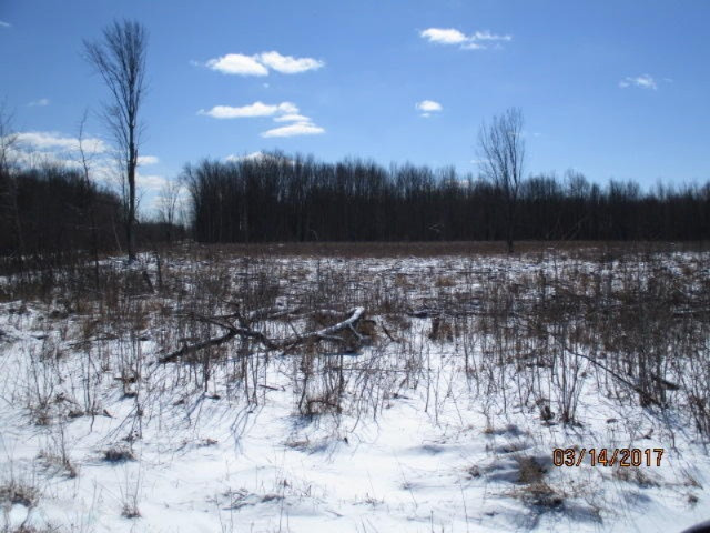 8200 East Erdman Road Merritt, MI 49667 - Photo 13 of 21 2017-03-14 02.27.20