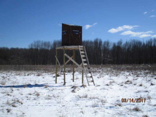 8200 East Erdman Road Merritt, MI 49667 - Photo 14 of 21 2017-03-14 02.28.24