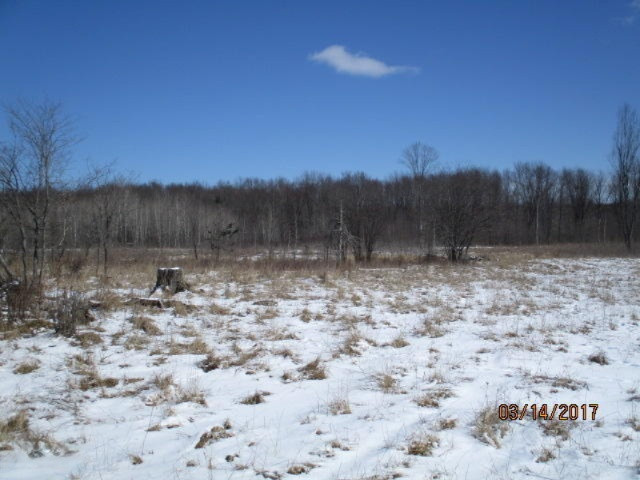 8200 East Erdman Road Merritt, MI 49667 - Photo 15 of 21 2017-03-14 02.28.27