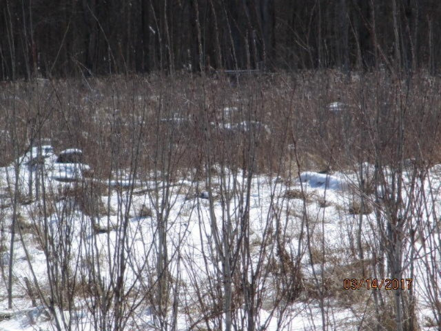 8200 East Erdman Road Merritt, MI 49667 - Photo 16 of 21 2017-03-14 02.28.35