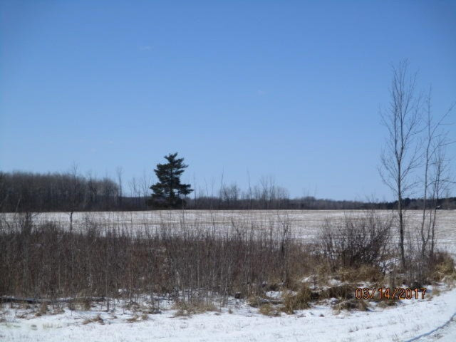 8200 East Erdman Road Merritt, MI 49667 - Photo 17 of 21 2017-03-14 02.30.04