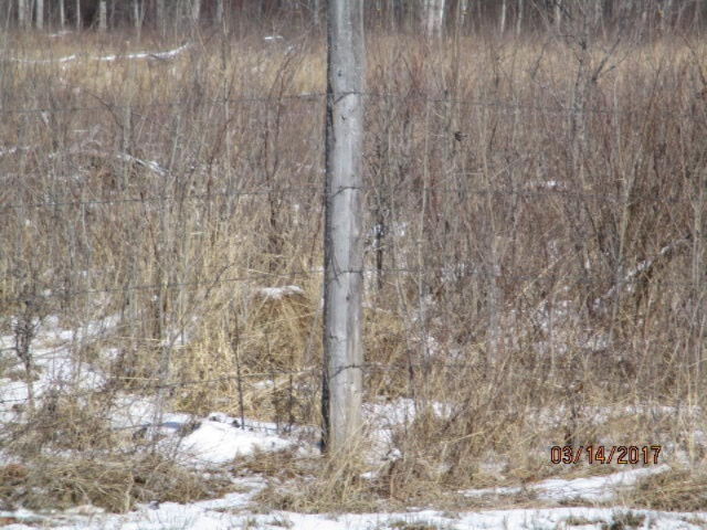 8200 East Erdman Road Merritt, MI 49667 - Photo 18 of 21 2017-03-14 02.30.46
