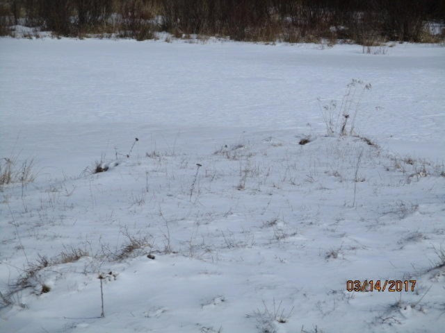 8200 East Erdman Road Merritt, MI 49667 - Photo 19 of 21 2017-03-14 02.32.42