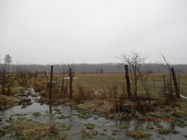 8200 East Erdman Road Merritt, MI 49667 - Photo 20 of 21 2017-03-01 00.31.21