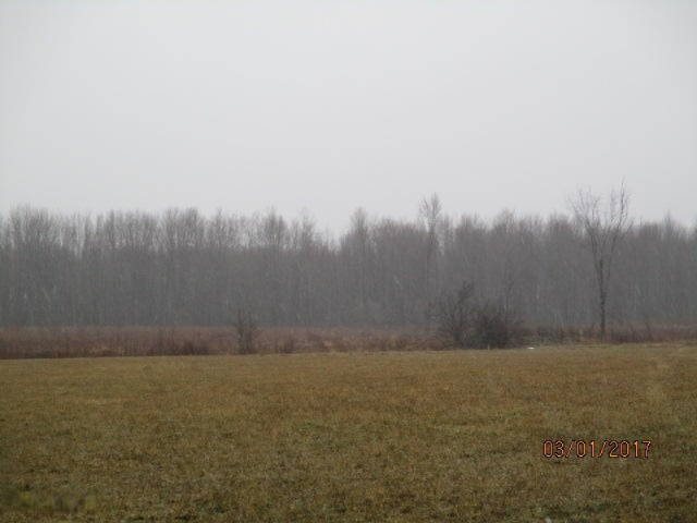 8200 East Erdman Road Merritt, MI 49667 - Photo 2 of 21 2017-03-01 00.32.15