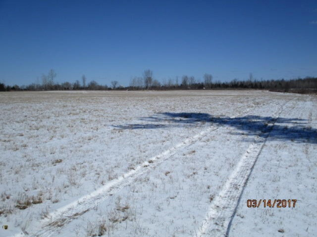 8200 East Erdman Road Merritt, MI 49667 - Photo 3 of 21 2017-03-14 02.24.30