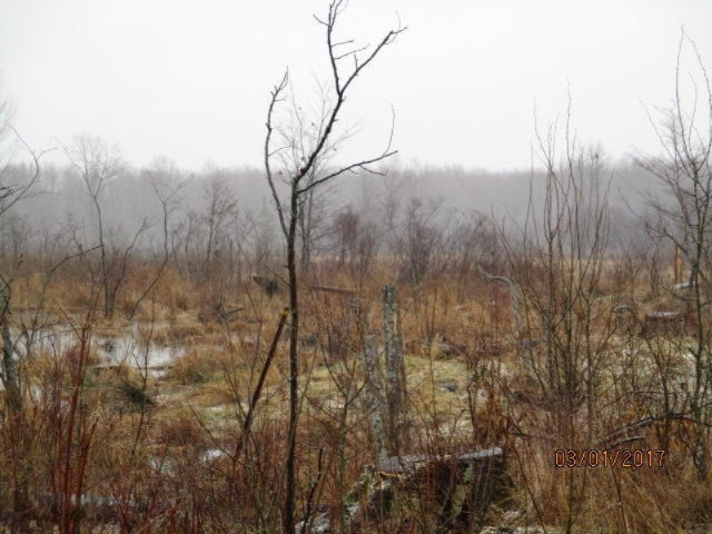 8200 East Erdman Road Merritt, MI 49667 - Photo 5 of 21 2017-03-01 00.31.34