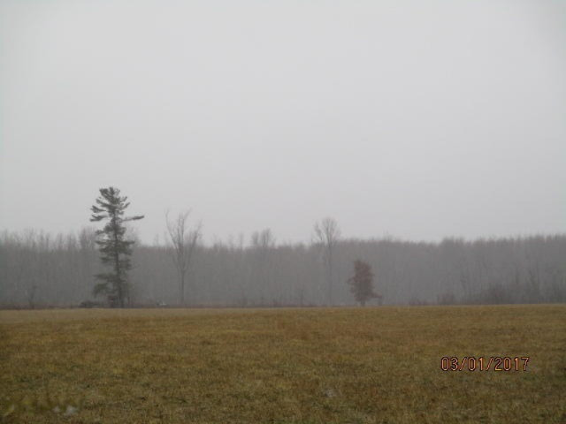 8200 East Erdman Road Merritt, MI 49667 - Photo 6 of 21 2017-03-01 00.32.06