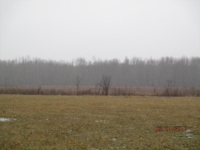 8200 East Erdman Road Merritt, MI 49667 - Photo 7 of 21 2017-03-01 00.32.10
