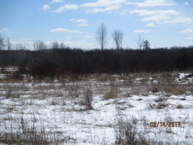 8200 East Erdman Road Merritt, MI 49667 - Photo 8 of 21 2017-03-14 02.21.04