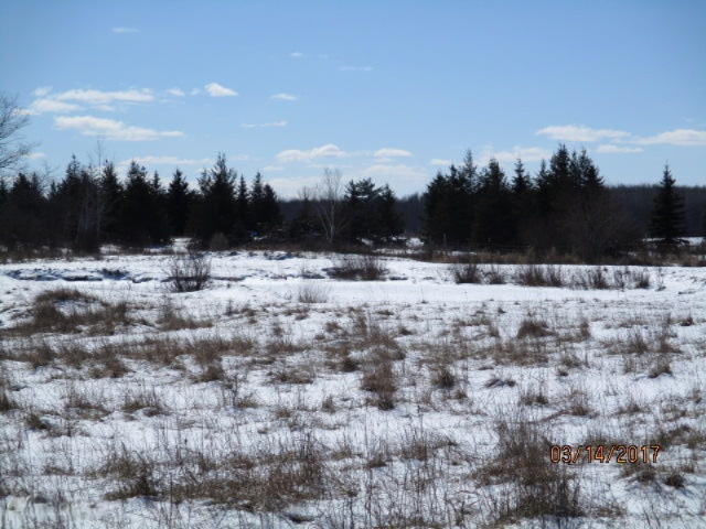 8200 East Erdman Road Merritt, MI 49667 - Photo 9 of 21 2017-03-14 02.21.07