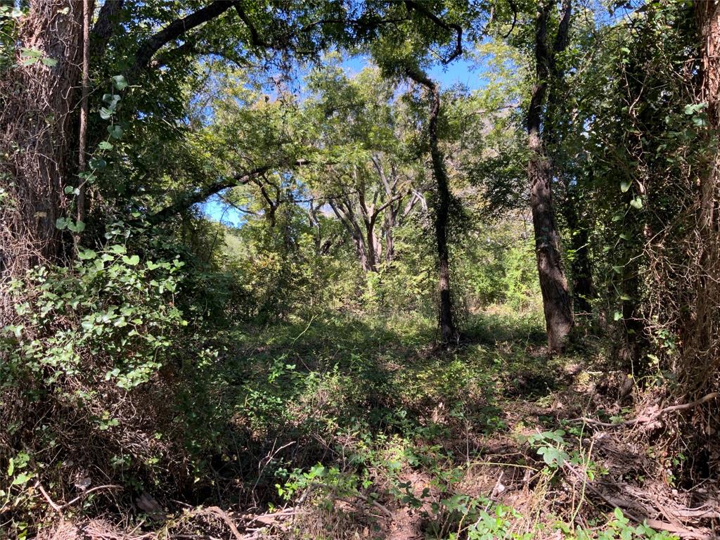 226 County Road 226 Rising Star, TX 76471 - Photo 19 of 25